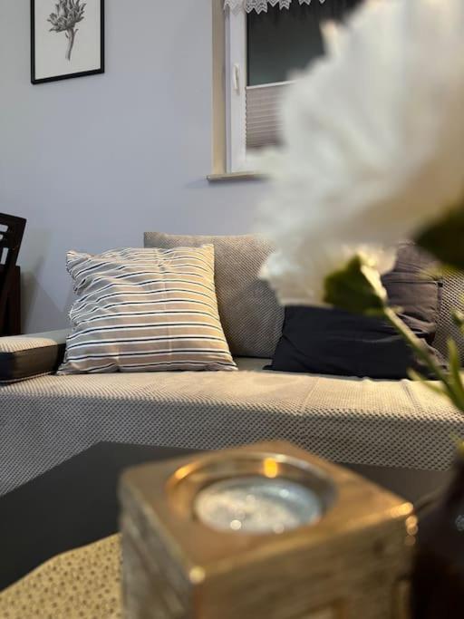Danka 6Th Floor Chic Apartment Cracovia Esterno foto